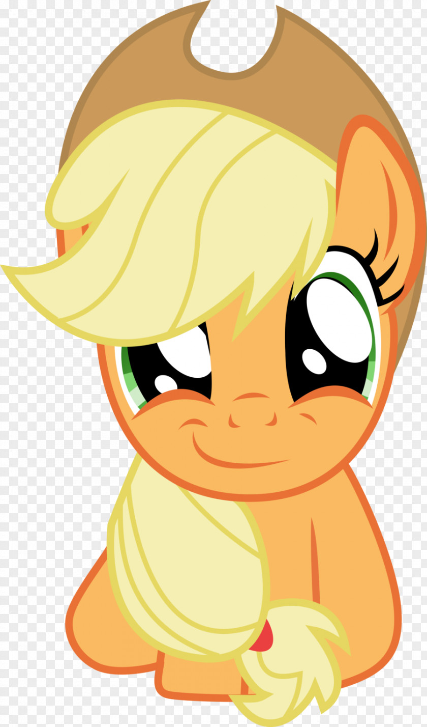 Applejack Twilight Sparkle Rainbow Dash Rarity Pinkie Pie PNG