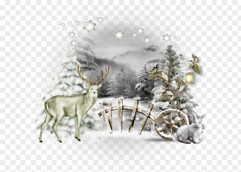 Cartoon White Snow Elk Reindeer Winter Christmas Illustration PNG