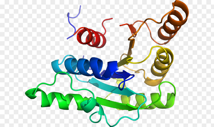 Glucose6phosphate Dehydrogenase Deficiency Clip Art Product Organism Line Special Olympics Area M PNG