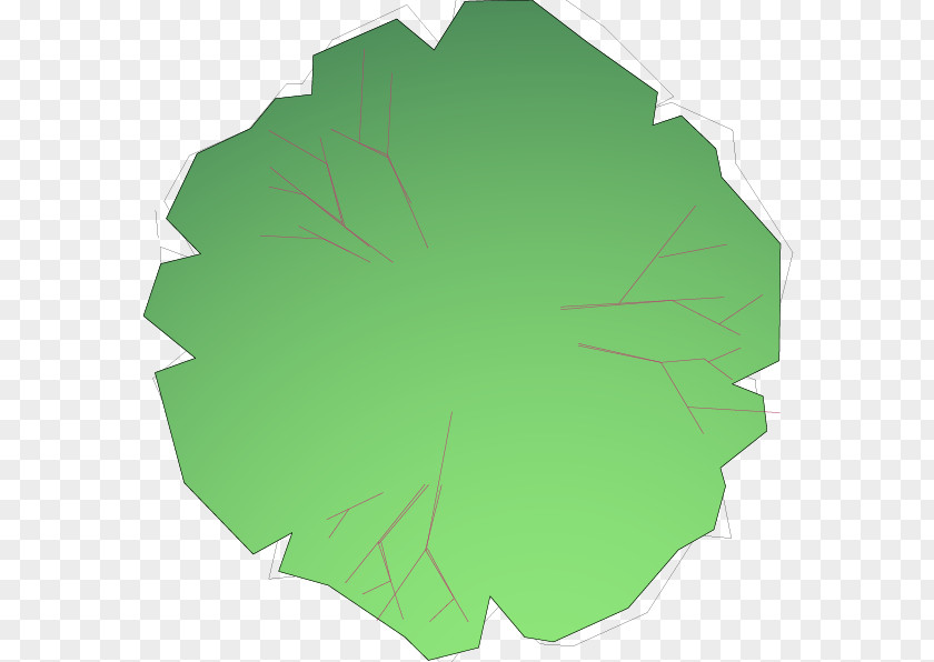 Leaf Tree PNG