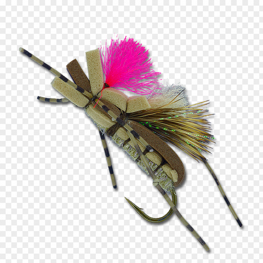 Pool Toy Insect PNG