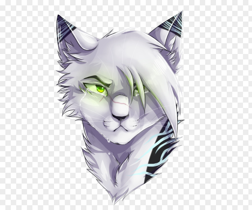 Wild Cats Cat Whiskers DeviantArt Warriors Drawing PNG