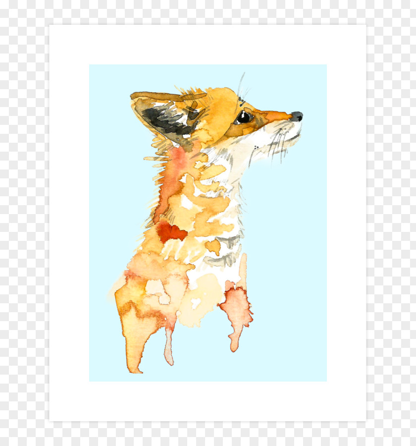 Dog Breed Red Fox T-shirt PNG