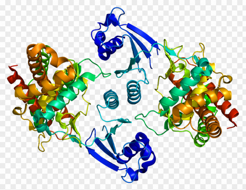 Ethanolamine CHKA Choline Kinase Protein Wikipedia PNG