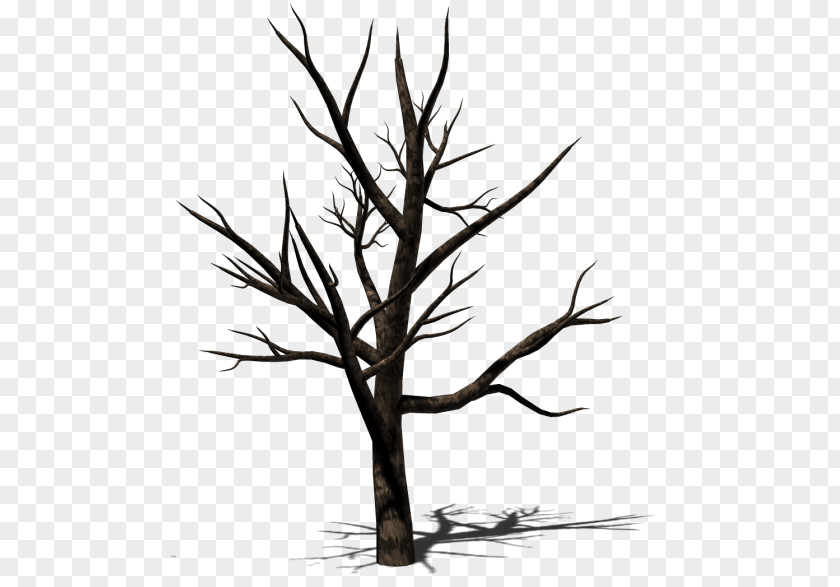 Flora Realistic Twig Tree Image Vector Graphics PNG