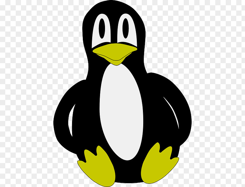 Penguin Clip Art Openclipart Image Vector Graphics PNG