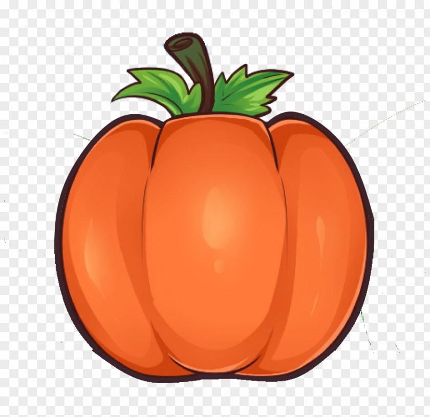 Pumpkin Drawing Halloween Tutorial Jack-o'-lantern PNG