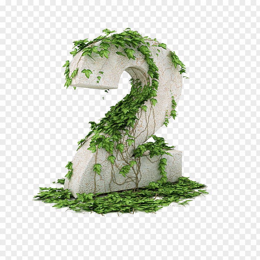 Vines Winding Number 2 3D Computer Graphics Numerical Digit Clip Art PNG
