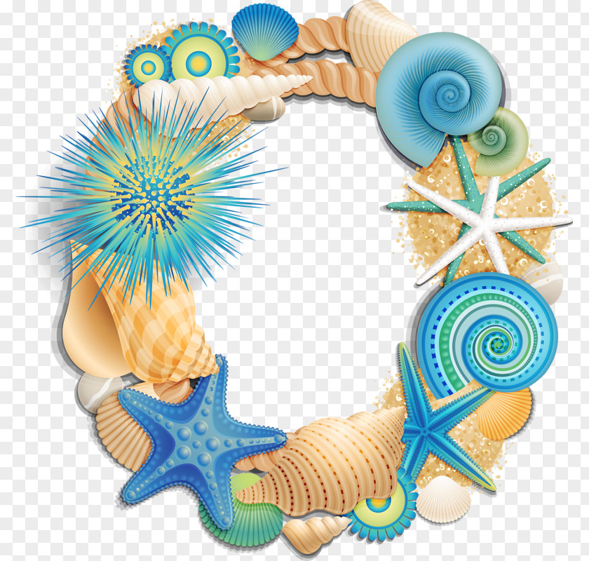 Beach Letter Alphabet Initial Seashell PNG