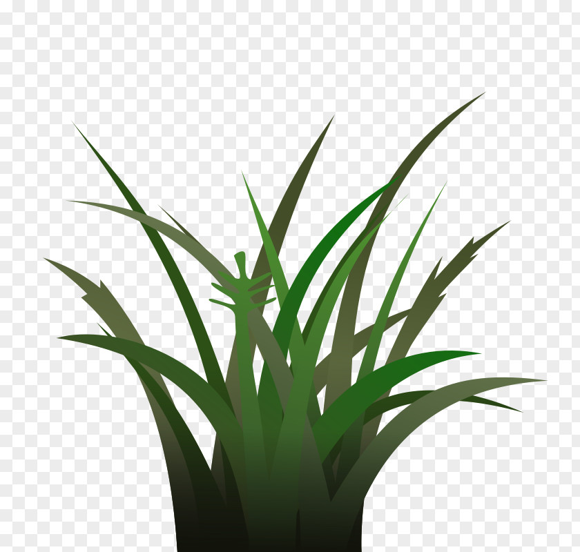 Cartoon Pictures Of Grass Lawn Clip Art PNG