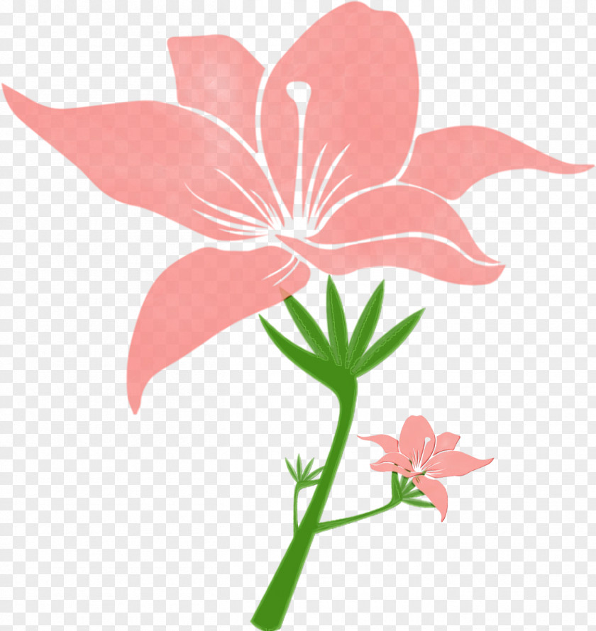 Cut Flowers Geranium Floral Design PNG