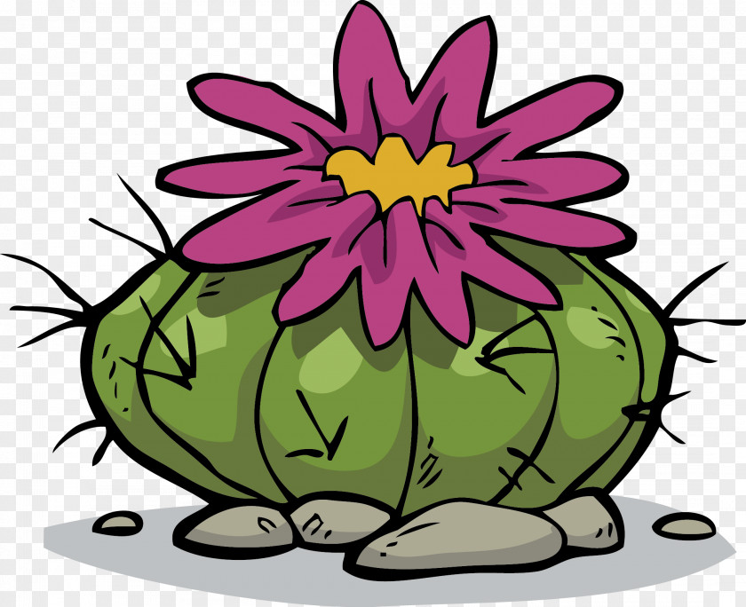Hand Drawn Prickly Pear Cactaceae Drawing Stock Photography Illustration PNG