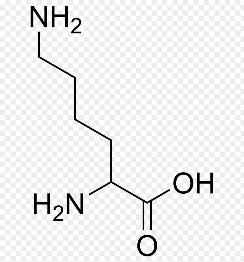 Isoleucine Branched-chain Amino Acid Essential PNG