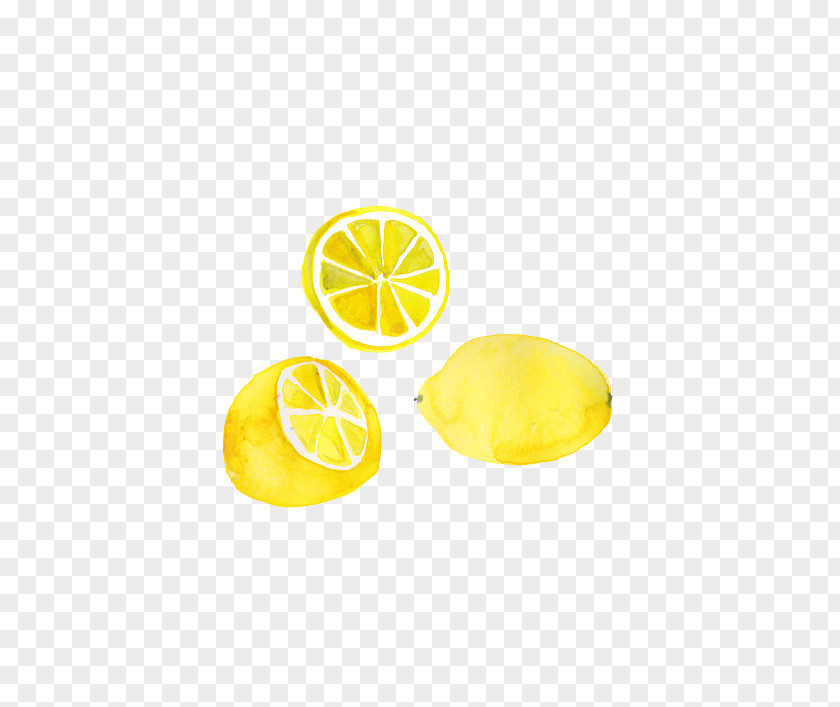 Lemon Drawing Watercolor Painting PNG