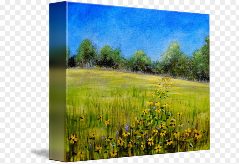 Painting Landscape Acrylic Paint Meadow PNG