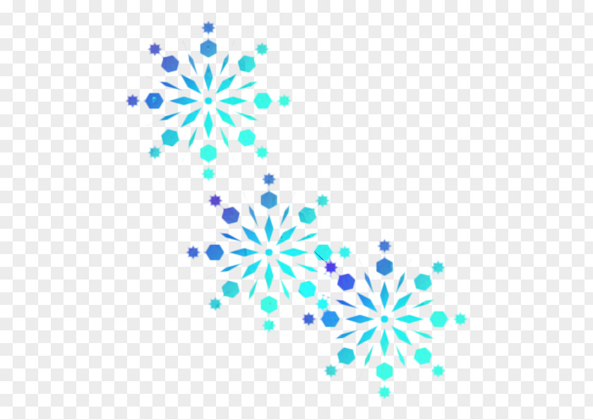 Pedicel Color Snowflake Silhouette PNG