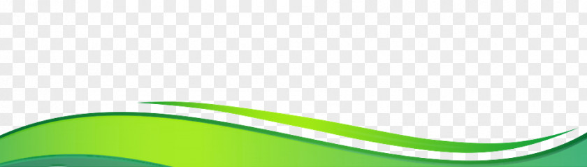 Plant Leaf Green Logo PNG