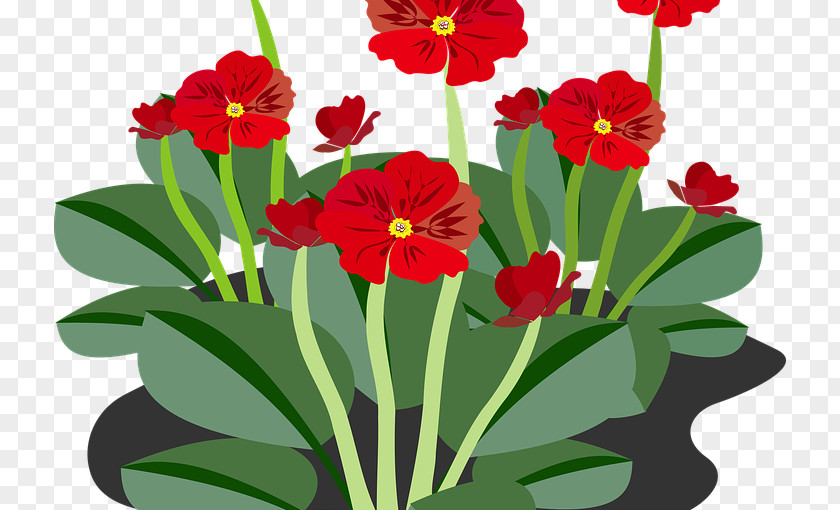 Practical Flower Flowering Plant Clip Art PNG