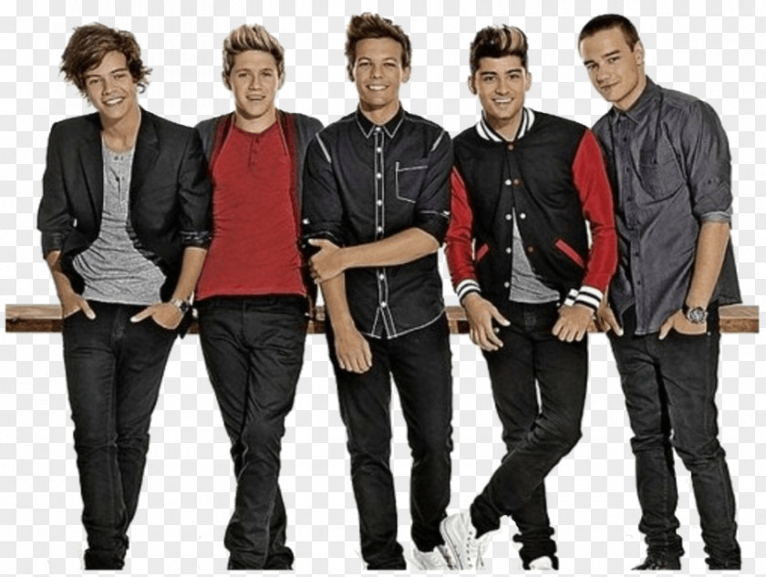 Direction One Take Me Home Tour Fan PNG