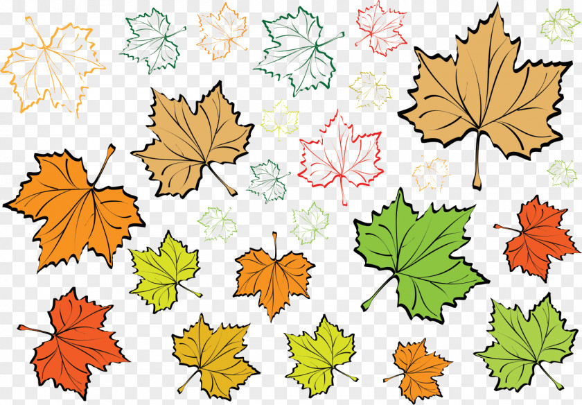 Leaf Maple Green PNG