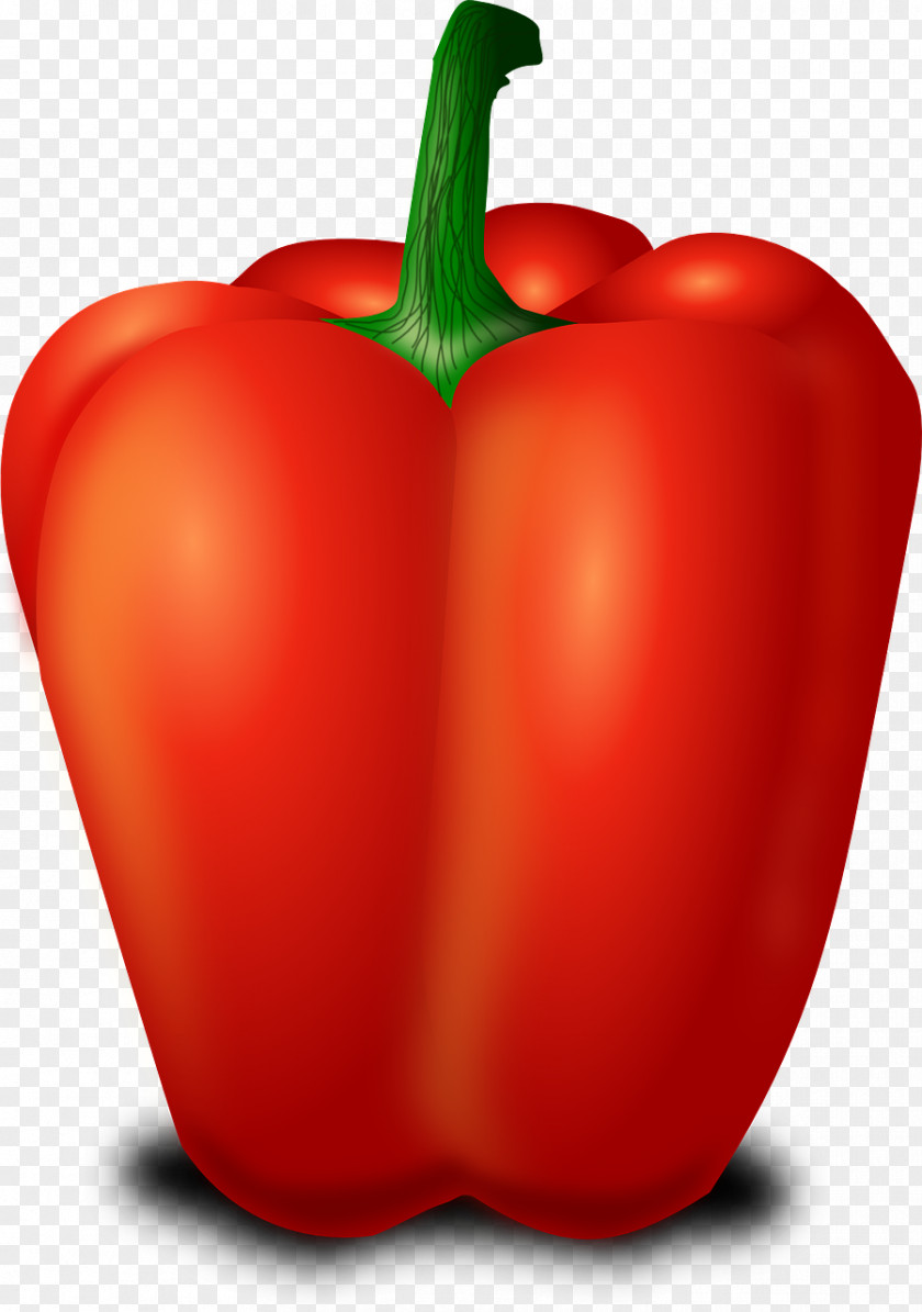 Pepper Chili Capsicum Bell Clip Art PNG