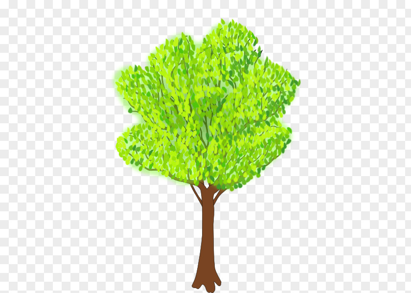 Summer Tree Cliparts Clip Art PNG