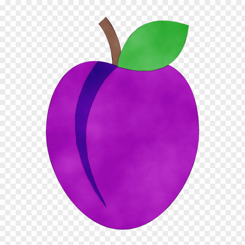 Violet Purple Fruit Leaf Plant PNG