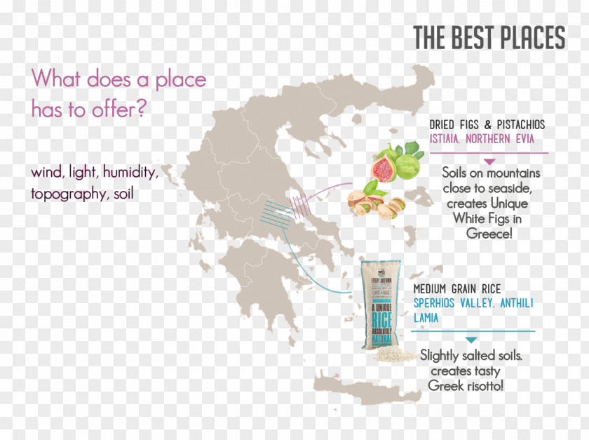 Greece Vector Map PNG