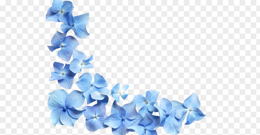 Hd Blue Flower Petals PNG blue flower petals clipart PNG