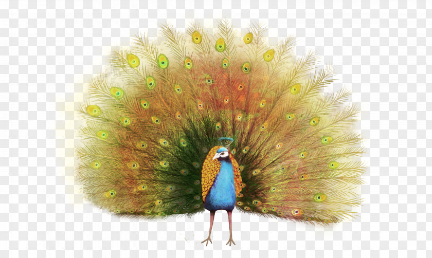 Peacock Paper Peafowl Painting Illustration PNG