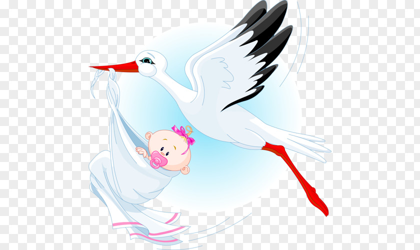 Stork Infant Clip Art PNG