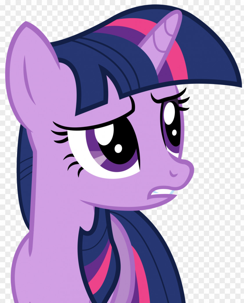 Twilight Sparkle Rarity Pinkie Pie Pony Spike PNG