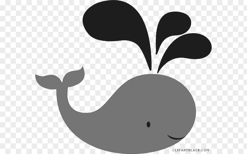 White Whale Logos Clip Art Image Vector Graphics PNG