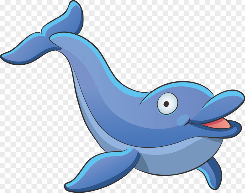 Cartoon Dolphin Aquatic Animal Deep Sea Creature PNG