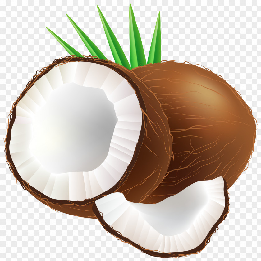 Coconuts Coconut Water Clip Art PNG
