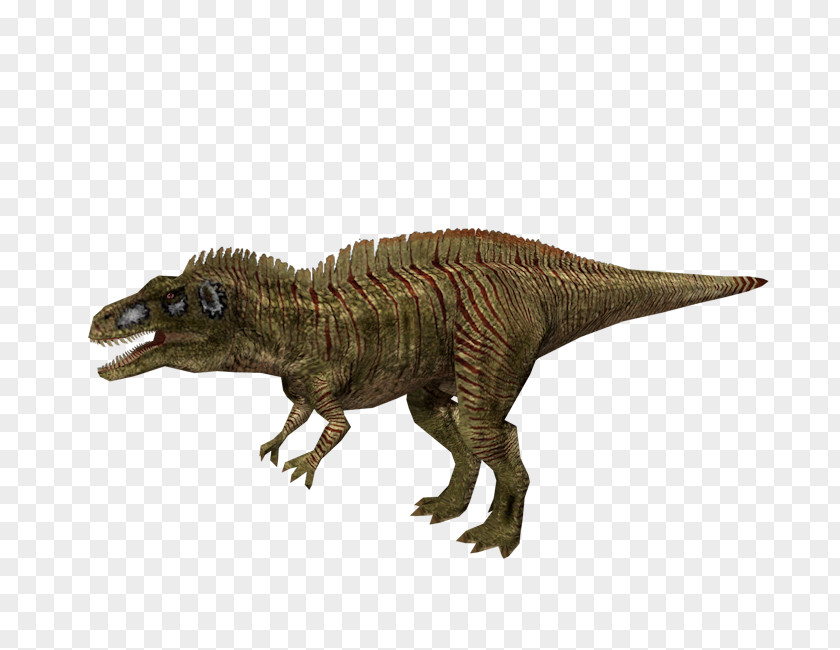 Dinosaur Tyrannosaurus Iguanodon Europasaurus Velociraptor Carcharodontosaurus PNG