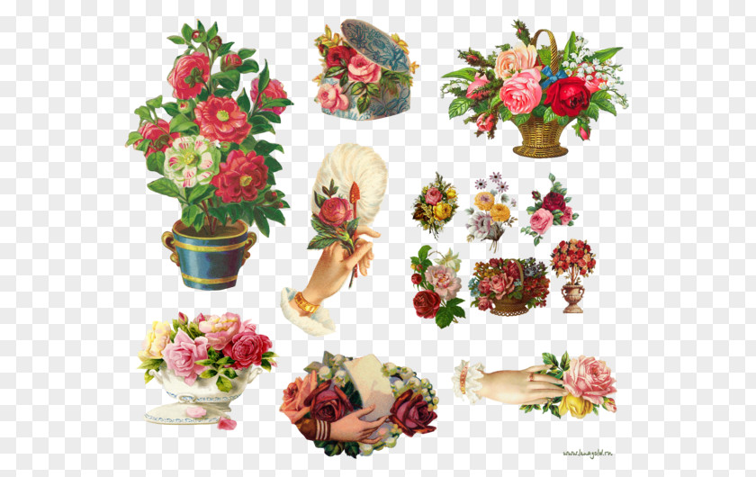Floral Design Clip Art PNG