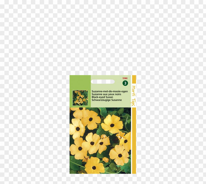 Garden Lawn Black-eyed Susan Vine Clockvines PNG