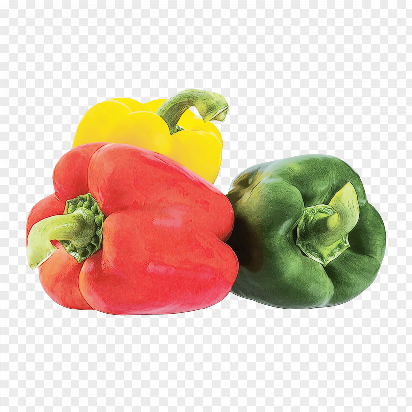 Italian Sweet Pepper Legume Vegetable Cartoon PNG