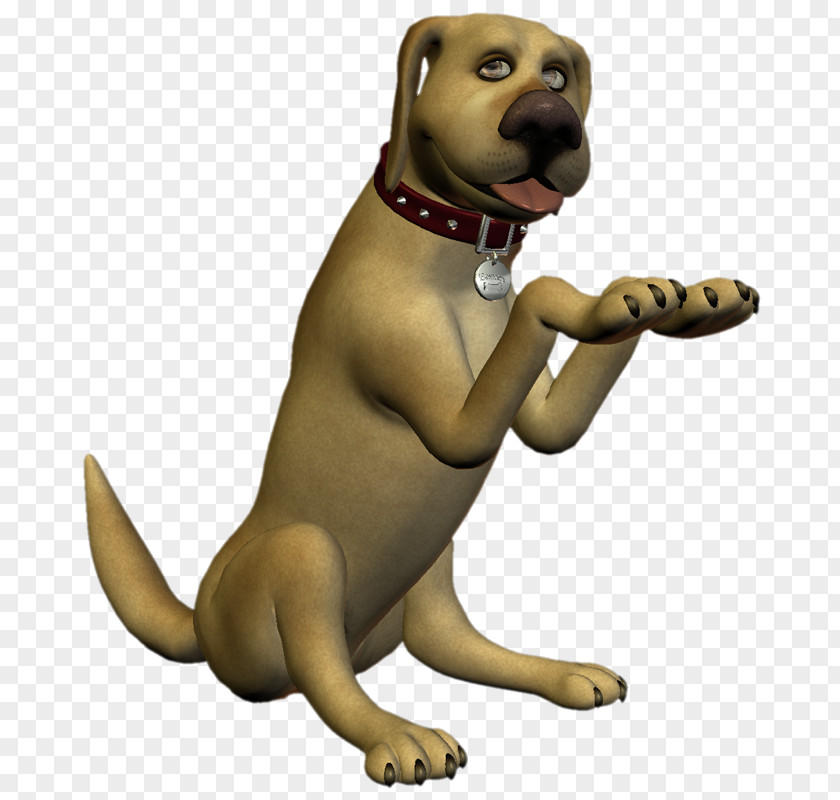 MASCOTAS Dog Breed Puppy Cat Snout Paw PNG