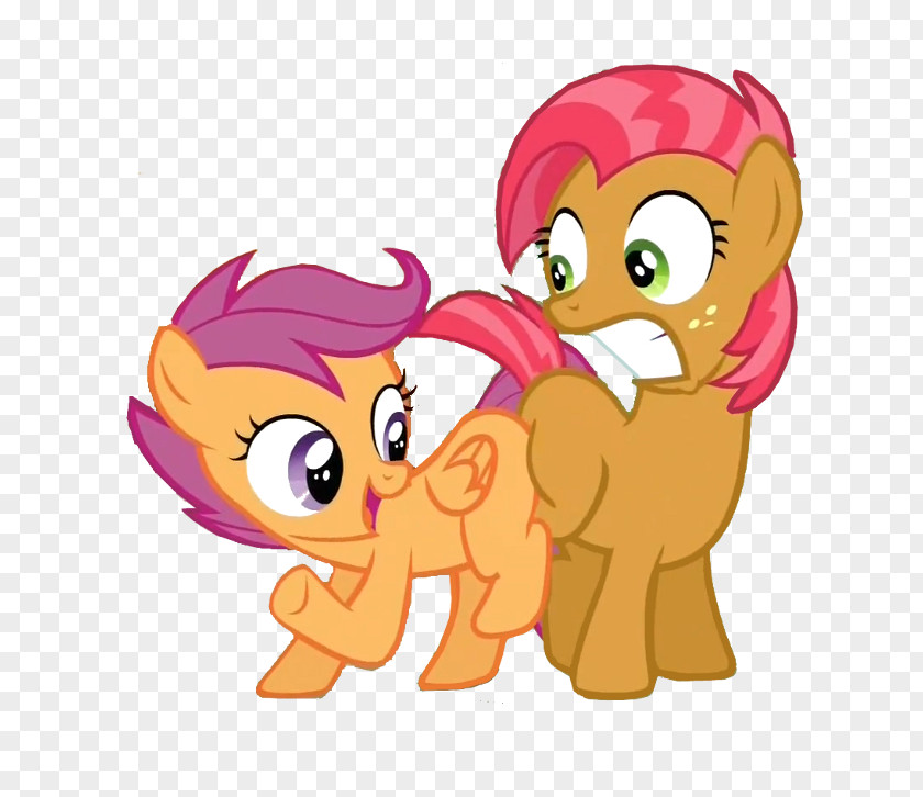 Pony Scootaloo Rainbow Dash Pinkie Pie Applejack PNG