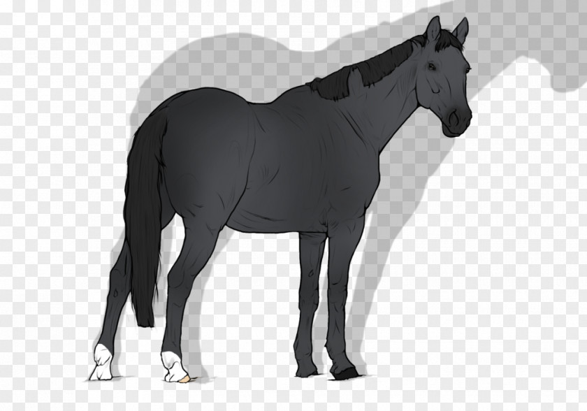 Waddle Penguin Mane Mustang Stallion Foal Mare PNG