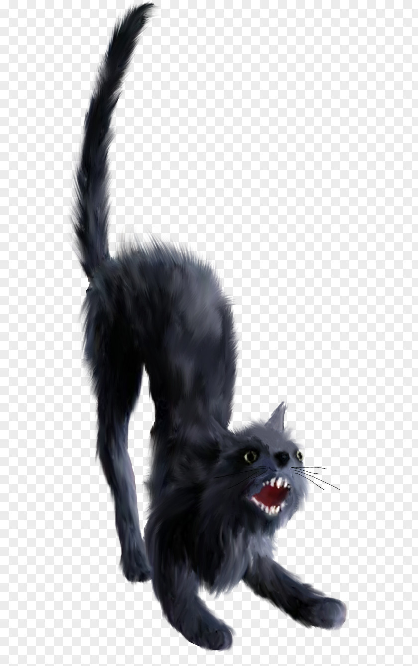 Witch Cat Black Kitten Clip Art PNG
