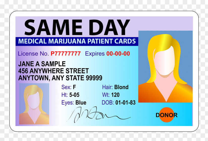 Car Google Driverless Driver's License Driving Vehicle Plates PNG