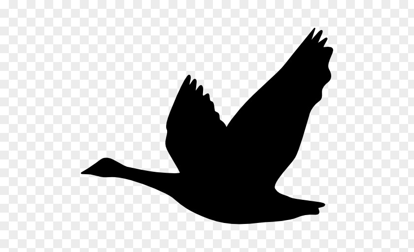 Goose Bird Duck Silhouette Ganso PNG