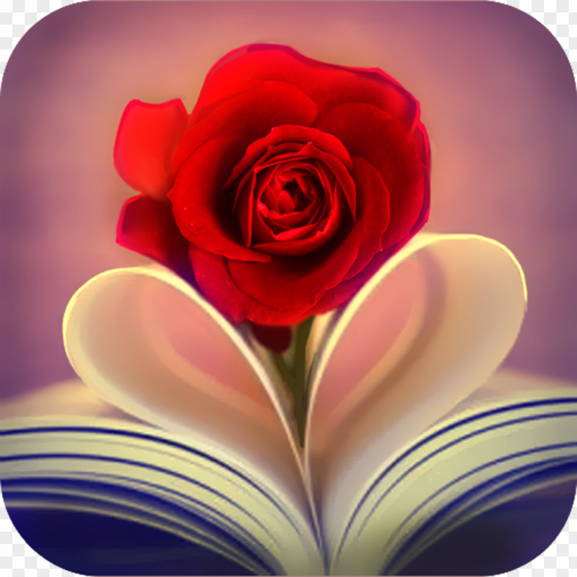 Romance Novel Heart Desktop Wallpaper Rose Flower Valentine's Day PNG
