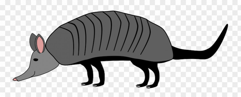 Armadillo Whiskers Snout Wildlife Clip Art PNG