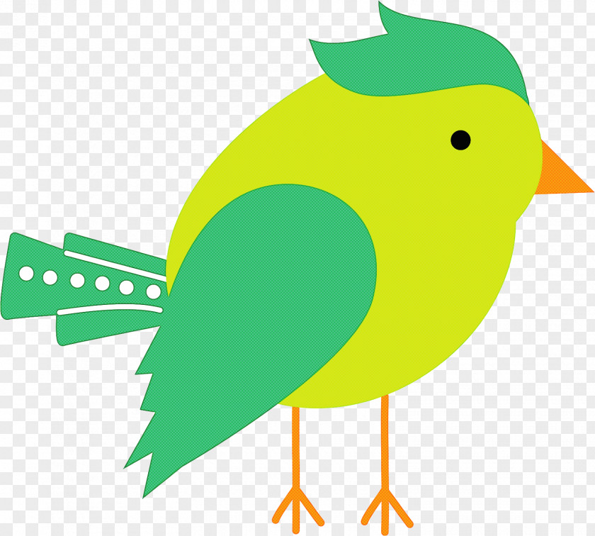 Beak Leaf Green Science Biology PNG