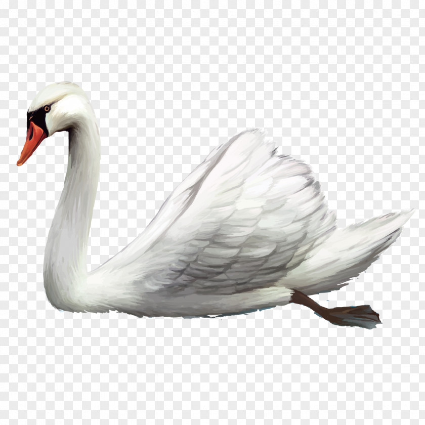 Hand-painted Swan Cygnini Bird Cartoon Clip Art PNG