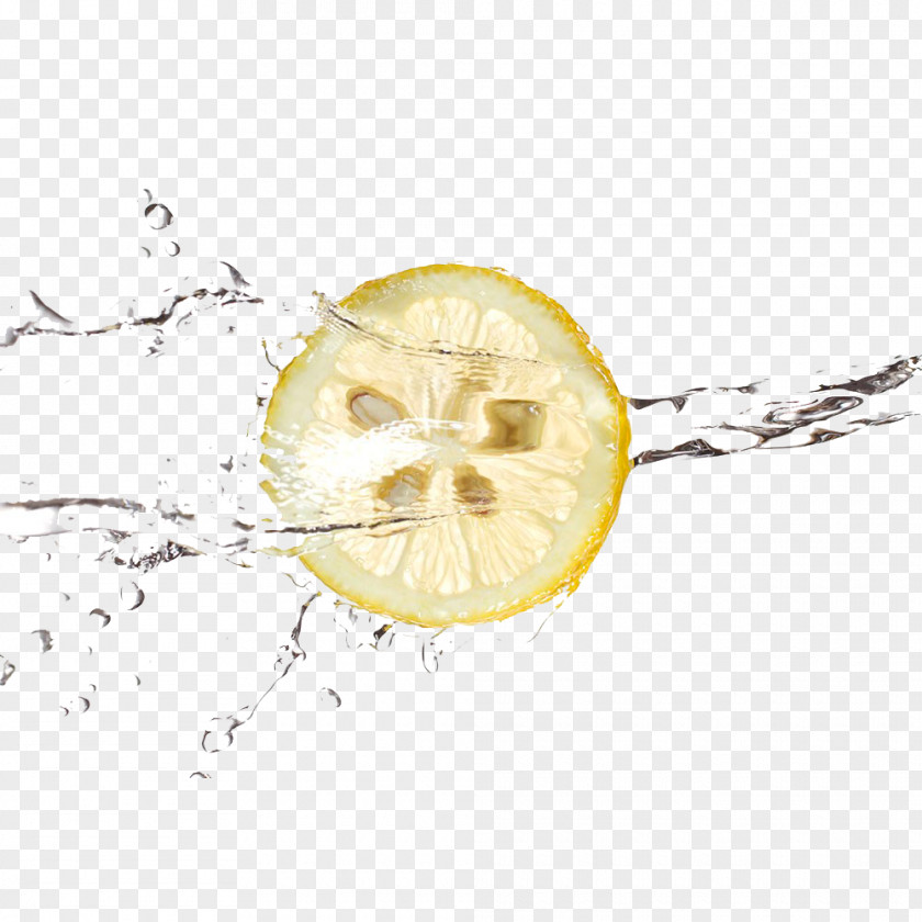 Lemon Floating In The Water Shuili Auglis PNG